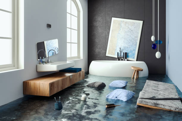 Best 24/7 water damage repair  in Roxboro, NC