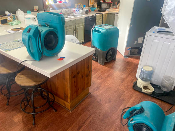 Best Water damage contractors near me  in Roxboro, NC