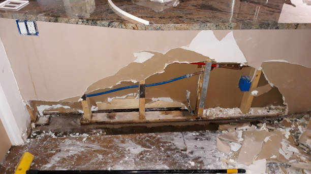 Best Flood restoration services  in Roxboro, NC