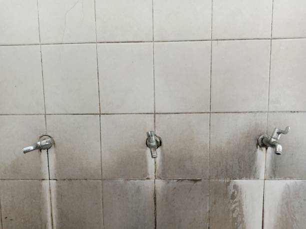 Roxboro, NC Water damage restoration Company