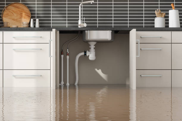  Roxboro, NC Water damage restoration Pros