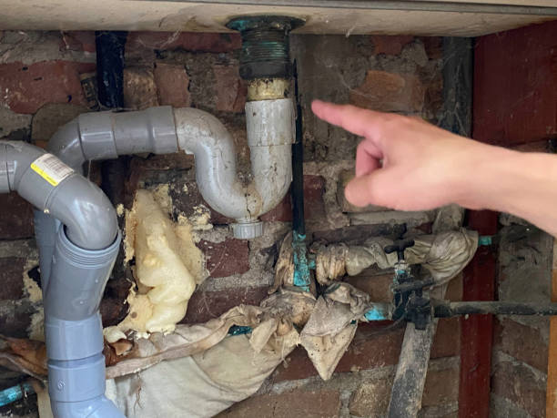 Water damage restoration mold remediation in Roxboro, NC