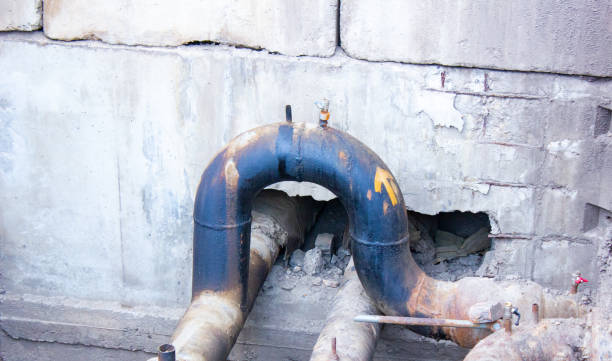 Best Basement water damage restoration  in Roxboro, NC