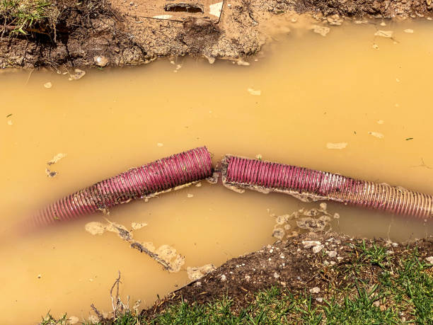 Trusted Roxboro, NC Water damage restoration Experts