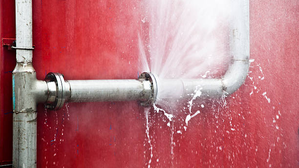 Best Fire Damage Restoration  in Roxboro, NC