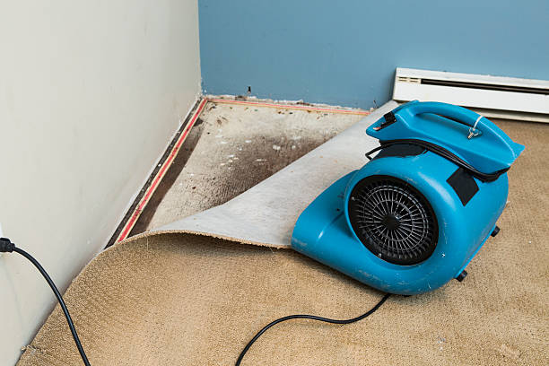 Best Water damage restoration services  in Roxboro, NC